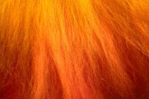 Close up of felting wool layers texture. Gradient from yellow to bright orange colors. Sheep carded wool laid out for felt project. Wet felting craft. Textile art background. Top view. Copy space. photo