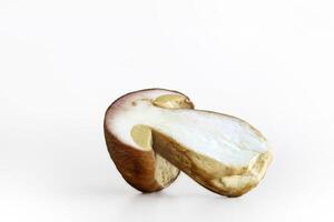 Sliced wild porcini mushroom isolated on white background. Wormy slice of boletus fungi. Worm trace in the fungus flesh. Harvesting for winter. Preparing for drying. Selective focus. Copy space photo
