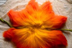 Close up of felting wool layers texture. Gradient from yellow to bright orange colors. Sheep carded wool laid out for felt project. Wet felting craft. Textile art background. Top view. Copy space. photo