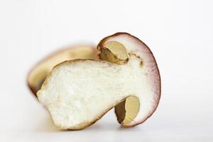 Sliced wild porcini mushroom isolated on white background. Clean slice of boletus fungi. Worm trace in the fungus flesh. Harvesting for winter. Preparing for drying. Selective focus. Copy space photo