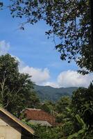 a view of a house and a tree with a mountain in the background photo