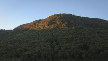 a large mountain with trees on top photo