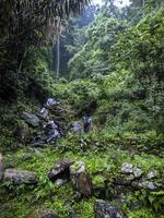 a man is walking through the jungle with a backpack photo