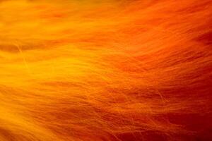 Close up of felting wool layers texture. Gradient from yellow to bright orange colors. Sheep carded wool laid out for felt project. Wet felting craft. Textile art background. Top view. Copy space. photo