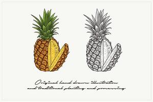 pair of pineapples illustration in engraving style vector