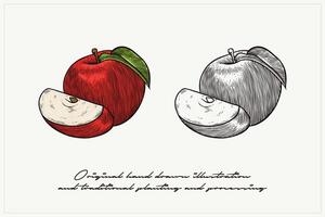 a set of illustrations of apples in engraving style vector