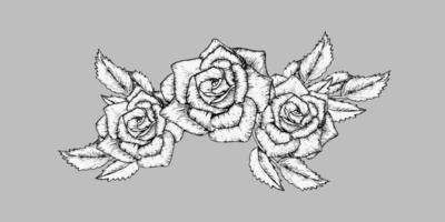Graphics rose with leaves line art composition. Black and white arrangement with roses and leaves for invitation, label, card, floral shop, packing design vector