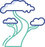 cypress tree outline color illustration vector