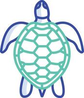 Turtle outline color illustration vector