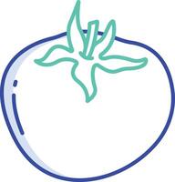 Tomato outline color illustration vector
