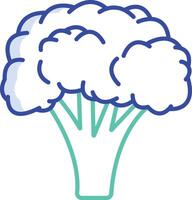 Broccoli outline color illustration vector