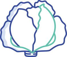 Cabbage outline color illustration vector