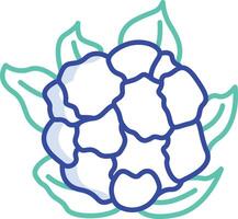 Cauliflower outline color illustration vector