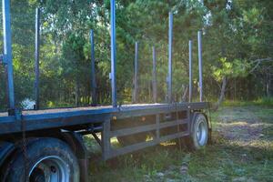 An empty timber truck stands in the middle of the forest. Forestry technologies - timber carrier for transporting logs. photo
