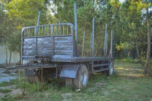 An empty timber truck stands in the middle of the forest. Forestry technologies - timber carrier for transporting logs. photo