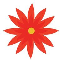 Hand drawn spring flower on a white background vector