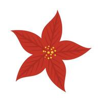 hand drawn christmas flower and wreath, Christmas Flowers, ornament on a white vector