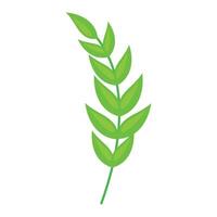 Botanical element Decorative branch Floral illustration design on white vector