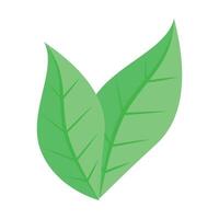 Botanical element Decorative branch Floral illustration design on a white background vector
