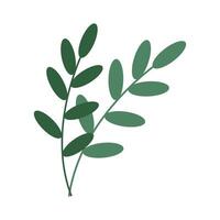 Botanical element Decorative branch Floral greenery on a white background vector