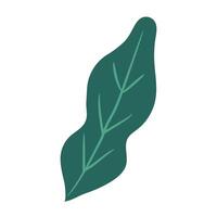 Botanical element Decorative branch Floral greenery illustration on a white background vector
