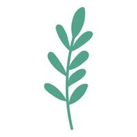 Botanical element Decorative branch Floral greenery illustration on white background vector