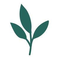 Botanical element Decorative branch Floral greenery illustration on white vector