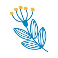 Fantasy flower with leaves on a branch form a design element on a white background. vector