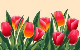 Beautiful scarlet and red tulips with copy space for spring cards. vector