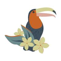 Toucan on a branch with plumeria leaves and flowers. Exotic bird in the tropical jungle sitting on a tree with frangipani. vector