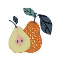 Cute pear with leaf isolated on white background for print. Fruit still life. vector