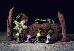 Floral in rustic photo