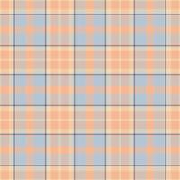 Plaid seamless pattern. background of textile ornament. Flat fabric design. vector