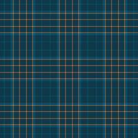 Plaid seamless pattern. background of textile ornament. Flat fabric design. vector