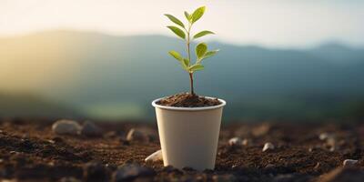 Sprouting Plant In Eco-Friendly Cup. Sapling In Biodegradable Sustainable Cup With Mountain Landscape. photo