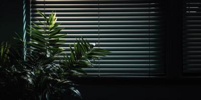 Indoor Plant In Soft Glow Of Moonlight Through Window Blinds. Houseplant In Dark Apartment. photo