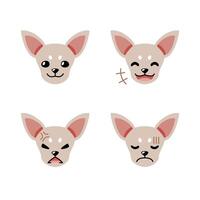 Set of cute character chihuahua dog faces showing different emotions vector