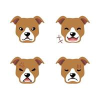 Set of cute character pit bull terrier dog faces showing different emotions vector