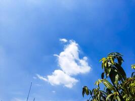 blue sky background with tiny clouds, soft focus, nature abstract background photo