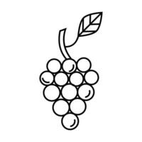 grape icon on white background vector