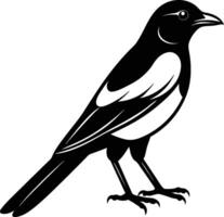 Magpie silhouette on white background vector