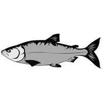 Fish isolated on white background realistic illustration vector