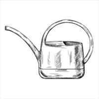 Garden grey watering can with a long spout. Hand drawn in black ink graphically. A tool for florists, farmers gardeners. Equipment for watering plants, greenhouses and seedbeds. illustration vector