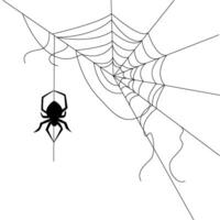 Halloween web with spider background for party. Isolated objects on a transparent background vector