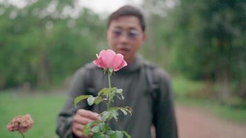 A man was walking and saw a beautiful wild rose. Feeling surprised and happy young man hiking The young man felt refreshed. video