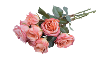 Bunch of Rose, Isolate on the transparent background, Format png