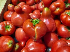 Big red shiny tomatoes on the store shelf. photo