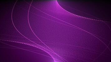 Looped abstract background with pink purple structure made of transparent particles and curvy lines with bright shine effect. Digital screensaver with glow light for science and technology. 4K 60 fps video