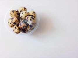 Quail eggs source of protein isolate on white photo