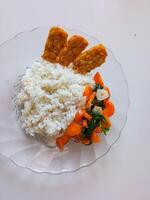 a plate of rice with tempeh and vegetables ready to eat isolate on white photo